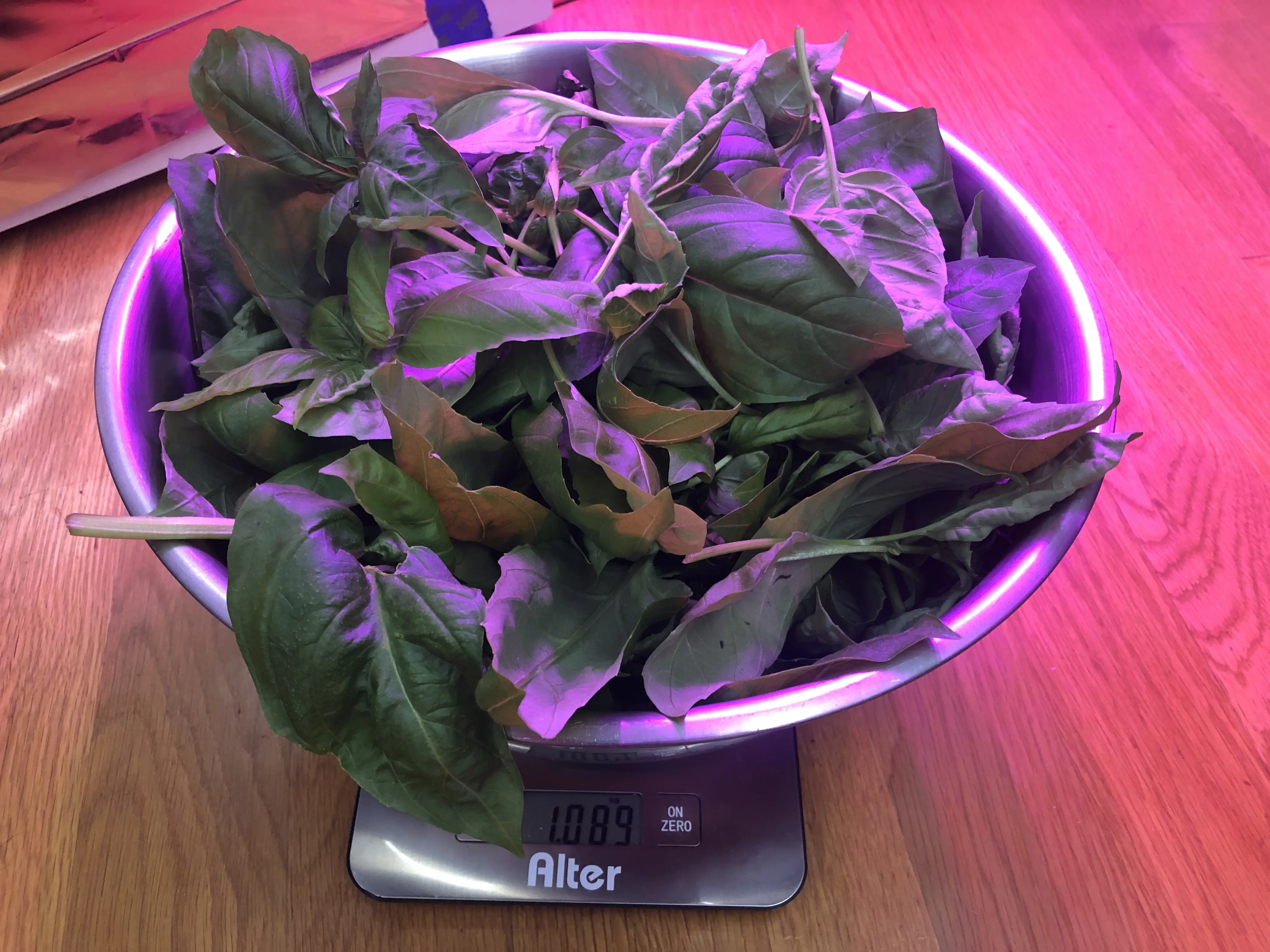 Closet Hydroponics's cover image