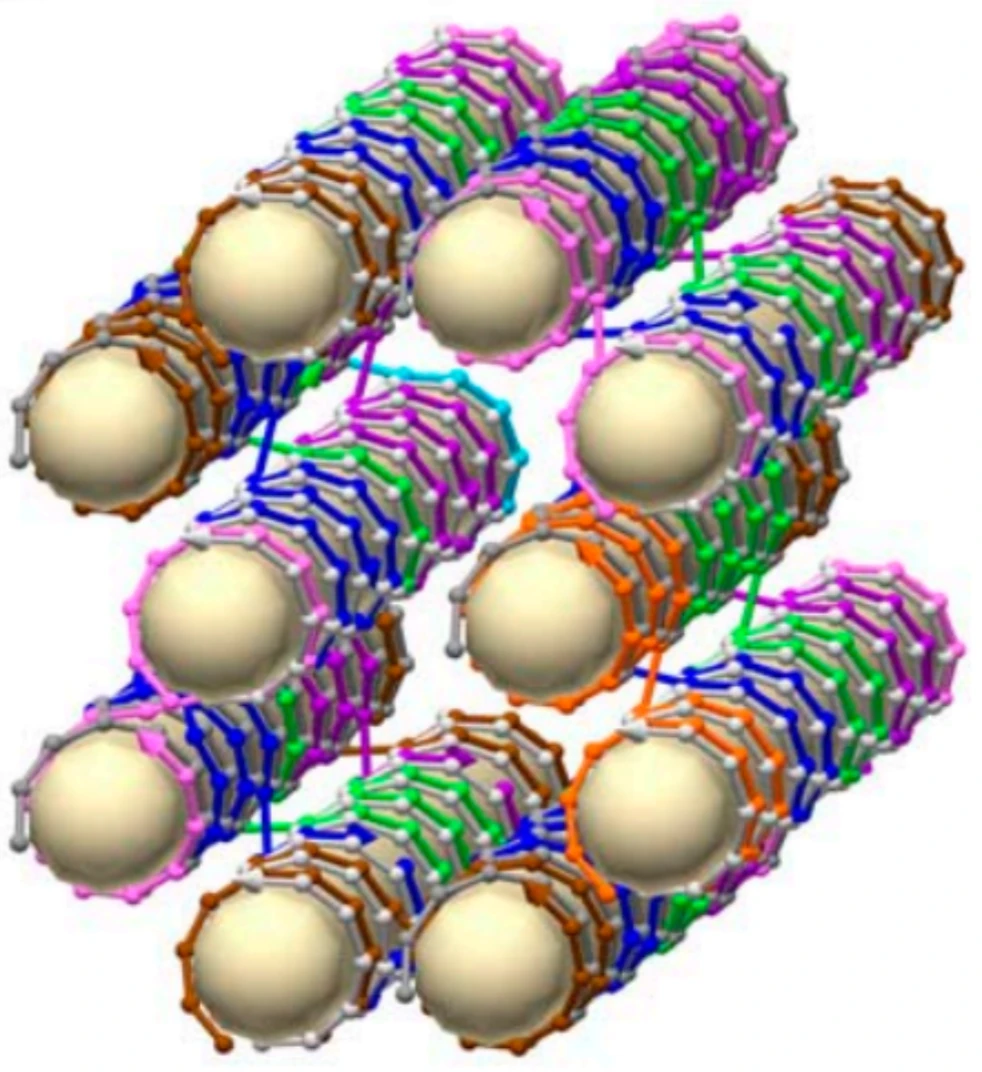 DNA Nanotube Design Software's cover image