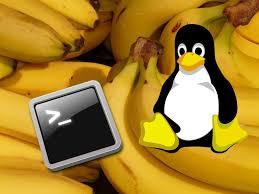 Project Banana's cover image